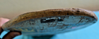 Bild 13 von 16