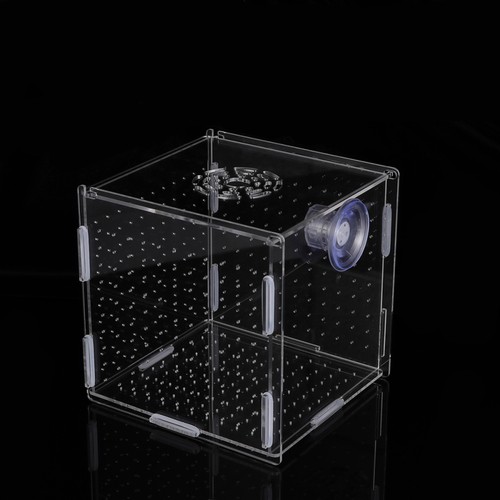 Fish Tank Isolation Box Baby Breeding for Aquarium Incubator Holder