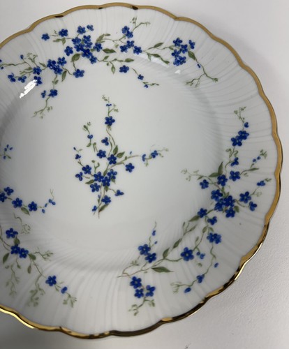Bernardaud MYOSOTIS zuppiera, piattino, cena, insalata, pane e piatto mezzaluna 6 pezzi - Foto 8 di 20