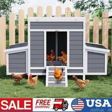 Wooden Chicken Coop with Nesting Box for 4-6 Chickens Gray with Pull-Out Tray