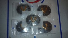 Western Belt Buckle With Golden Letter Y BRAND NEW