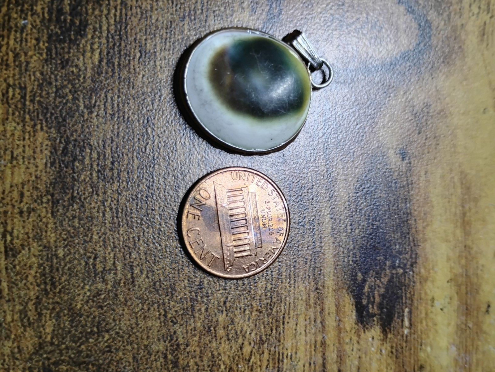 Operculum Shell Sterling Silver Pendant - image 1
