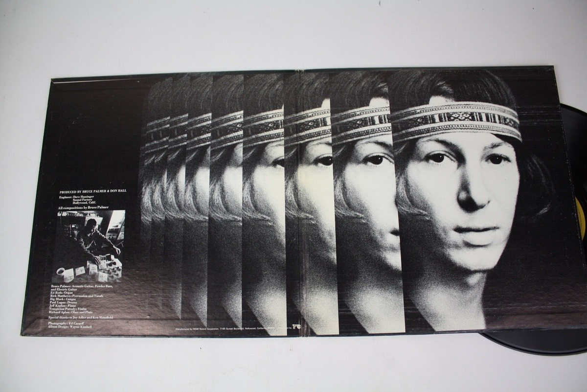 Bruce Palmer The Cycle Is Complete LP 1970 Vinyl VG+/VG+ FTS