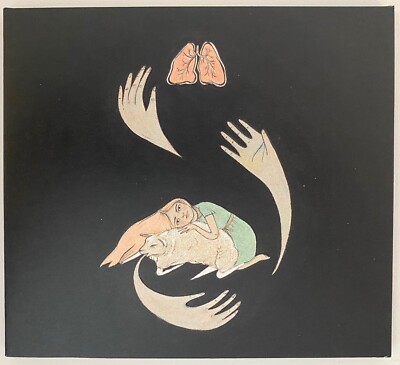 Shrines von Purity Ring - Digipak CD
