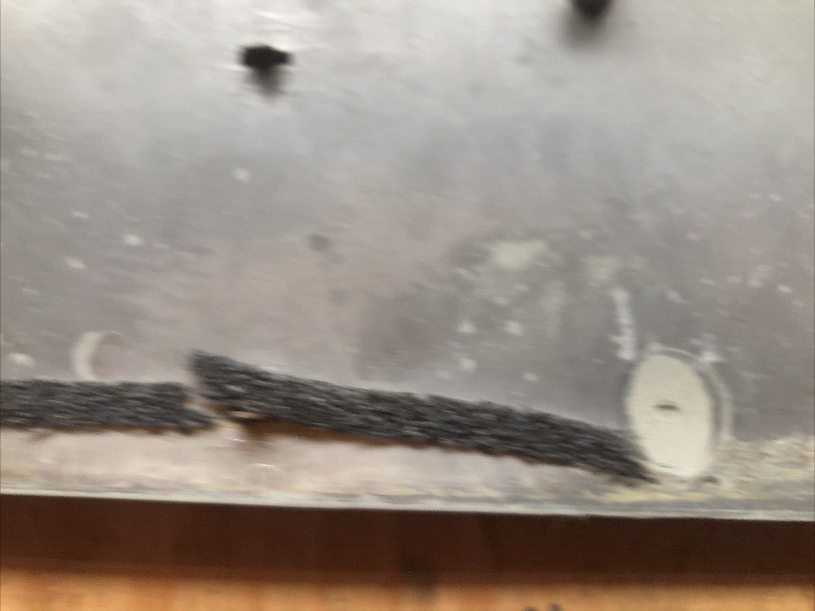 Picture 15 of 24