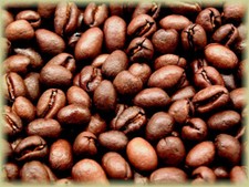 Brazilian Jazblu Peaberry Coffee Beans Medium Roast Fresh Whole Bean 2 lbs 2x 1
