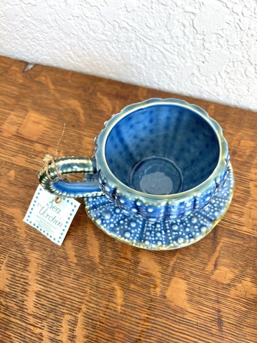 VINTAGE LOT SEA URCHIN TEACUP AND SAUCER, PAWLEY YARN BOWL, SEASHELL DISH - Picture 4 of 18