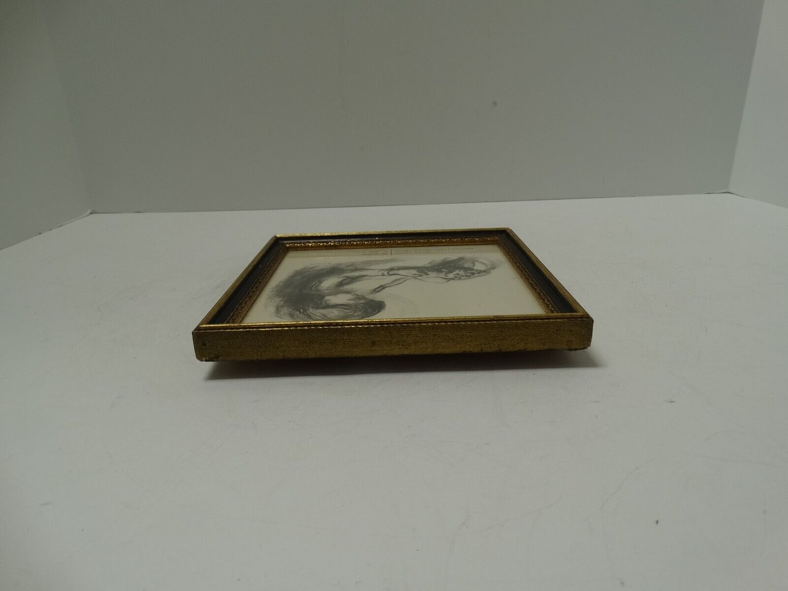 Picture 8 of 14