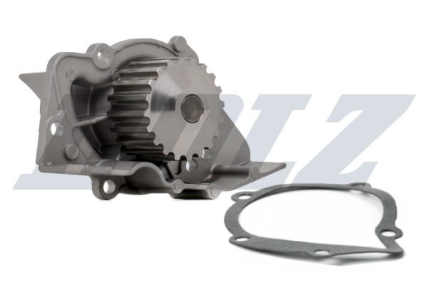 Dolz Wasserpumpe (C117) FüR Peugeot 405 II Citroen Xantia XM Evasion 306 ZX-image