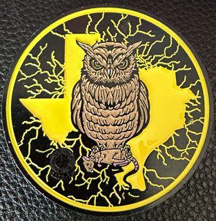 IBEW Local 520 Austin TX Head on a Swivel Owl Rat Challenge Coin
