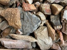 Z~ Dino Bone Rough 22 Lb Lot # 1