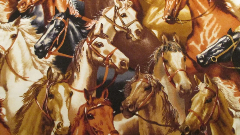 Cotton Fabric Timeless Treasures Horse Heads All Over West-C6216 1yd x 42 - Image 4 of 4