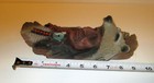 Wolfhead Warrior Native American Theme Wall Mounted — photo 2