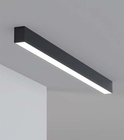 Bild 2 von 61