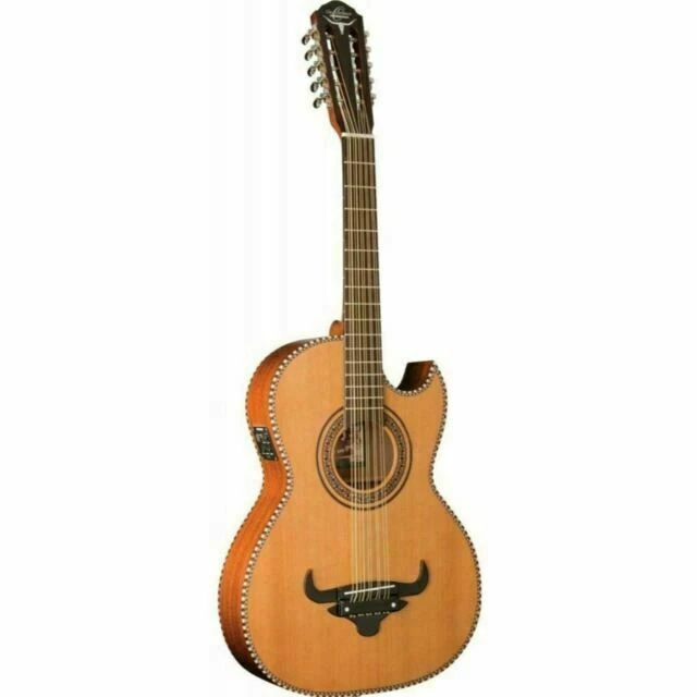 Oscar Schmidt 10 String Acoustic Electric Guitars