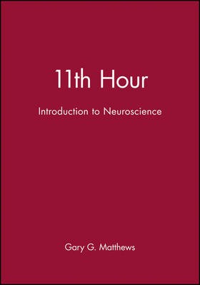 11. Stunde: Einführung in die Neurowissenschaften, Matthews