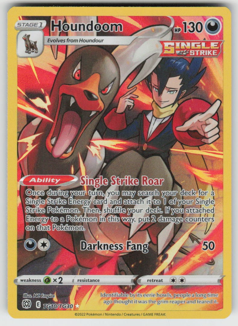 Houndoom TG10/TG30 Holo Brilliant Stars Trainer Gallery Pokemon Holo NM