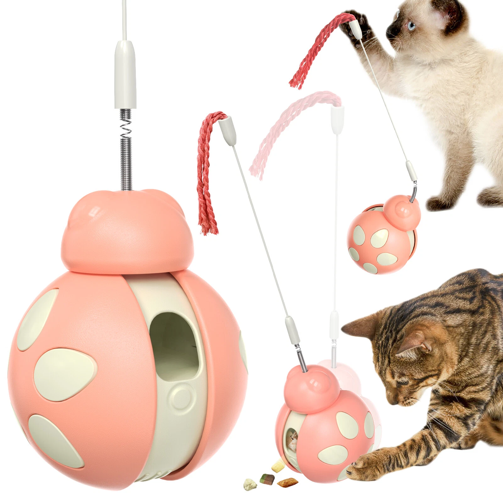 Kitten Funny Balls Food Dispenser Cat Interactive Toys for Indoor Ladybug Beetle
Opens in a new wind