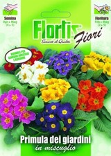 Flortis Graines De Primevère Des Jardins Mix