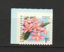 SINGAPORE 2007 FLORA FRANGIPANI 1ST LOCAL 1ST REPRINT 2007B BOOKLET PANE 1 STAMP