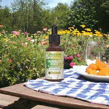 Dandelion Root Tincture - Supports Detox  Digestive Health