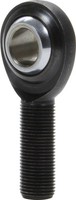 Allstar Performance Pro Rod End Links Moly Ptfe-Auskleidung 5/8