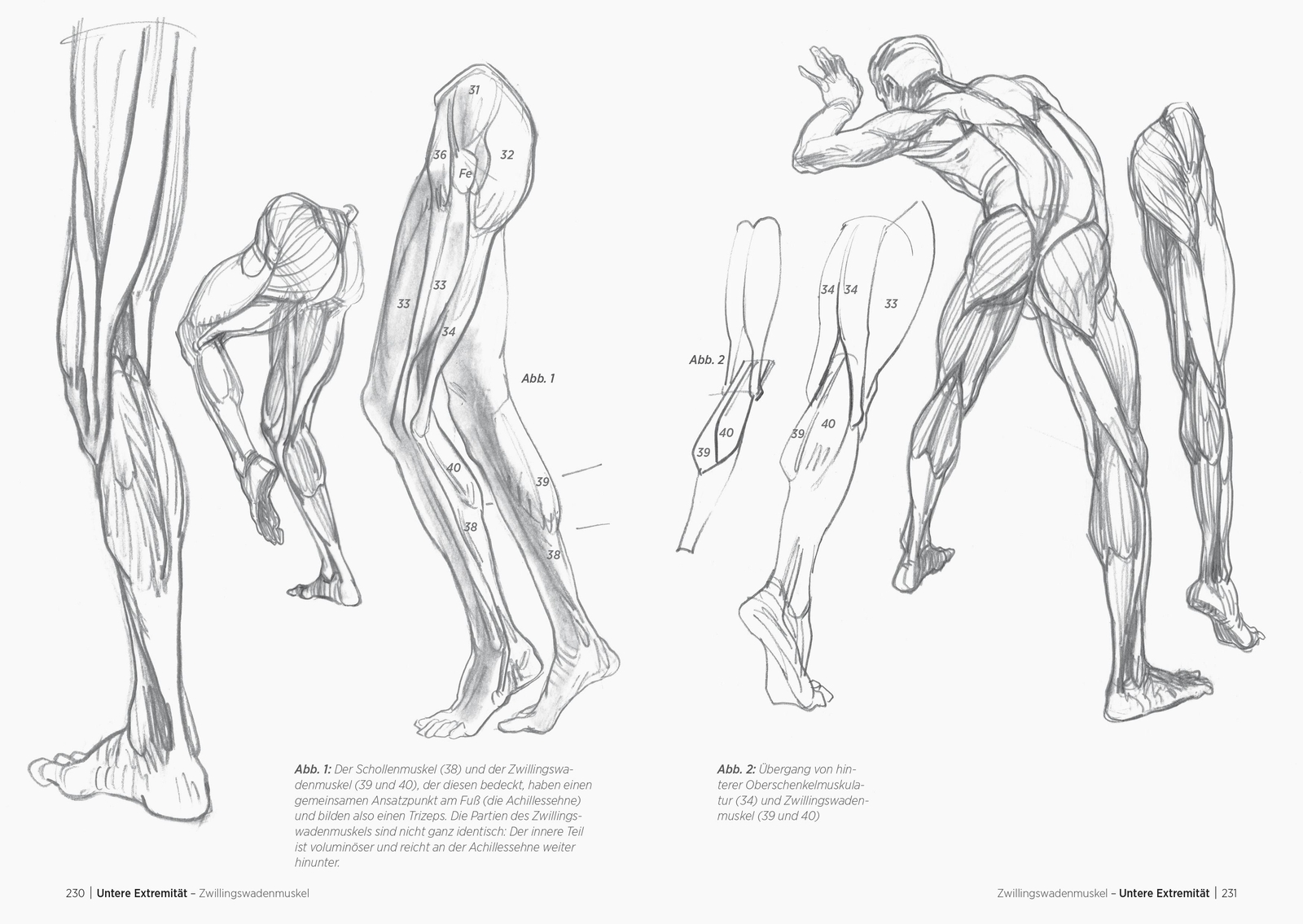 Thumbnail - Morpho Michel Lauricella