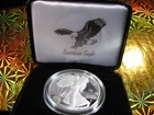 2025 Laser Engraved Privy American Eagle One Ounce Silver Proof Coin LOW MINTAGE