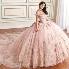 Pink Quinceanera Dress with Gold Lace Decals Beaded Bow Sweet 16 Tulle Ball Gown