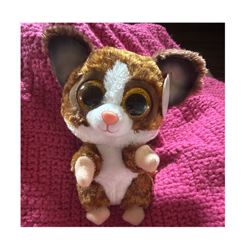 Ty Beanie Boos Binky Plush Stuffed Animal Beanbag MPN Binky 2012