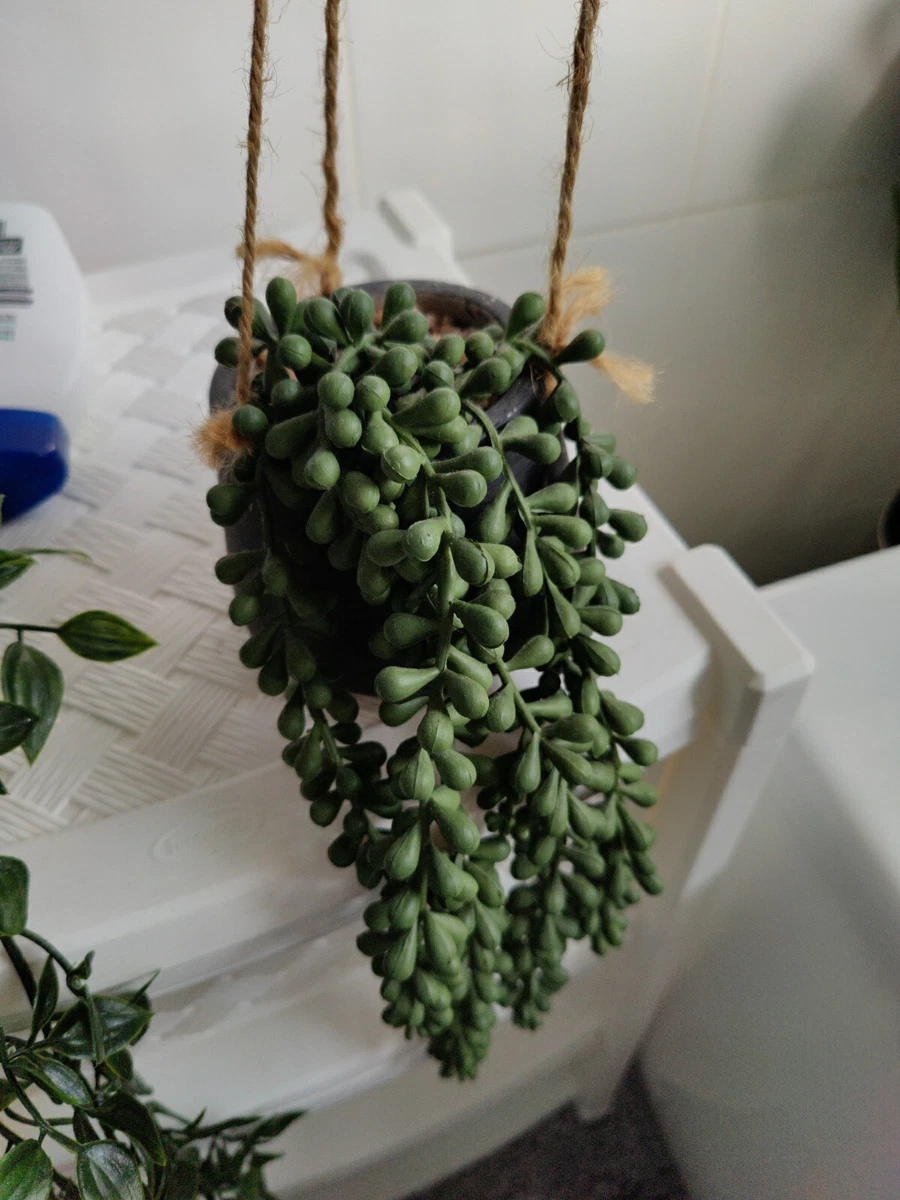 Argos Grey Falling Hanging Plant Pot Artificial