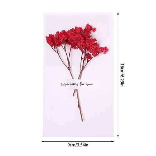 Christmas Charm Dried Flower Greeting Card Festive Design Natural Holiday - Picture 9 of 45