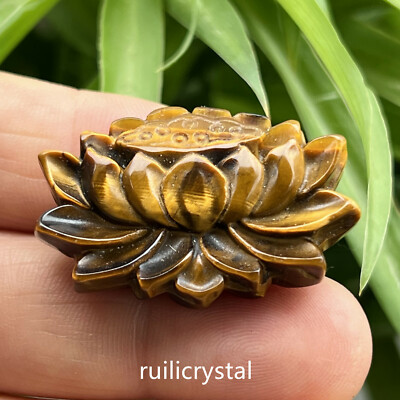2''Natural Gold Tiger's Eye Quartz Hand Sculpture Lotus skull Crystal Healin