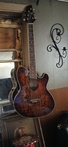 Ibanez Talman Tc825 | eBay