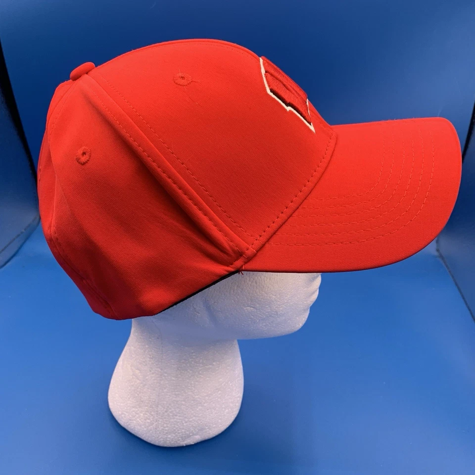 Wisconsin Badgers Sombrero Gorra Algodón Relajado Un Ajuste Flex Clásico Papá Sombrero NUEVO Foto 2 de 4