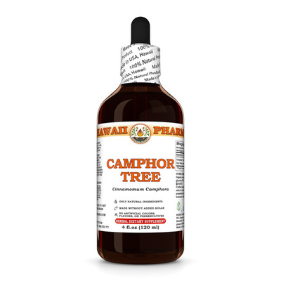 Camphor Tree / Zhang Nao (Cinnamomum Camphora) Dried Resin Liquid Herbal Extract