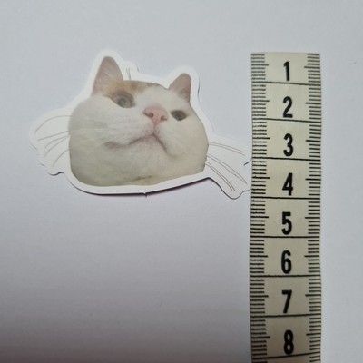 Cat Stick Meme Funny Cute Derp Silly Sticker Aufkleber Sammeln Geschenk Neu