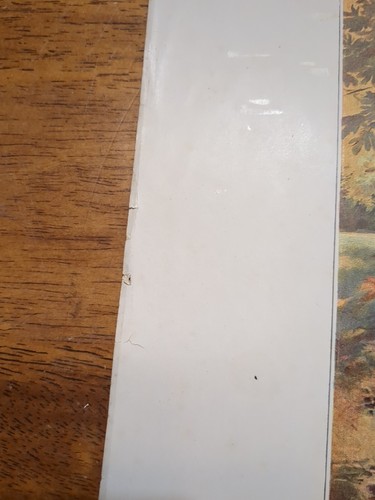 1893 Victorian Color Typogravure "FALLING LEAVES" Artist Madeleine Lemaire - Picture 10 of 13