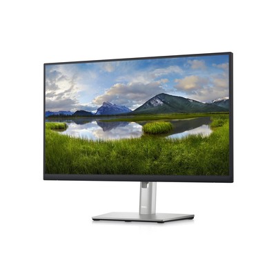Dell 24 Inch QHD Monitor - P2423D | eBay