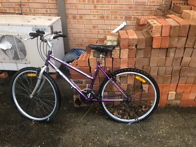 gumtree bicycle