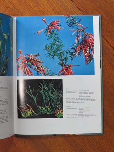 Wild Flowers of South Australia - Marian Beek, Dorothy Foster (Hardback, 1972) - Picture 4 of 5
