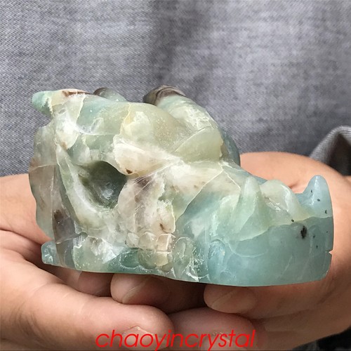 0.44LB Natural Amazonite Dragon Skull Quartz Crystal Carved Decor XK870-05-A - Picture 6 of 12