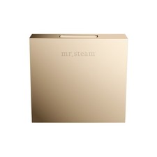 Mr Steam 104516 Designer Square 3 in. Steamhead - Gold