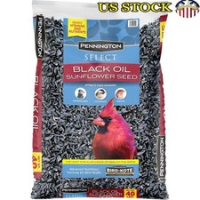 No Mess Black Oil Sunflower Seeds 40lb Wild Bird Feed Attracts Woodpeckers New
