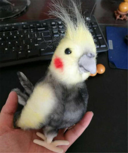 Simulation Bird Cockatiel Parrot Doll Bird Stuffed Animal Plush Toy Kids Gift - Picture 7 of 14