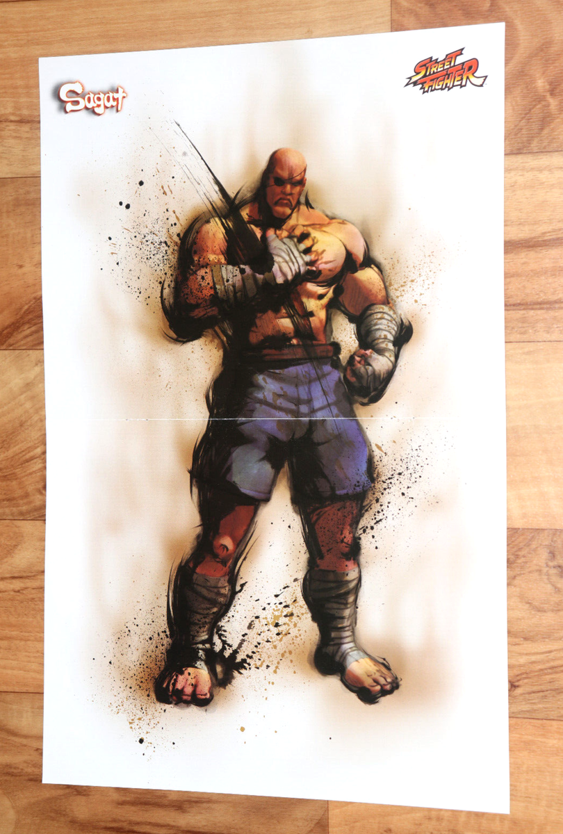 Street Fighter Sagat Very Rare Small Poster 42x28cm | eBay