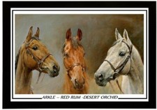 134) arkle red rum desert orchid a4 photograph framed unframed (reprint) ++++###