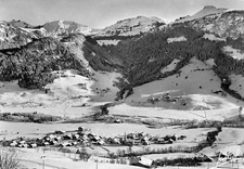 *20438 cpsm Praz sur arly - vue générale