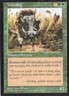 WARTHOG VISIONS MTG MAGIC MP (yourdeckbuilder)