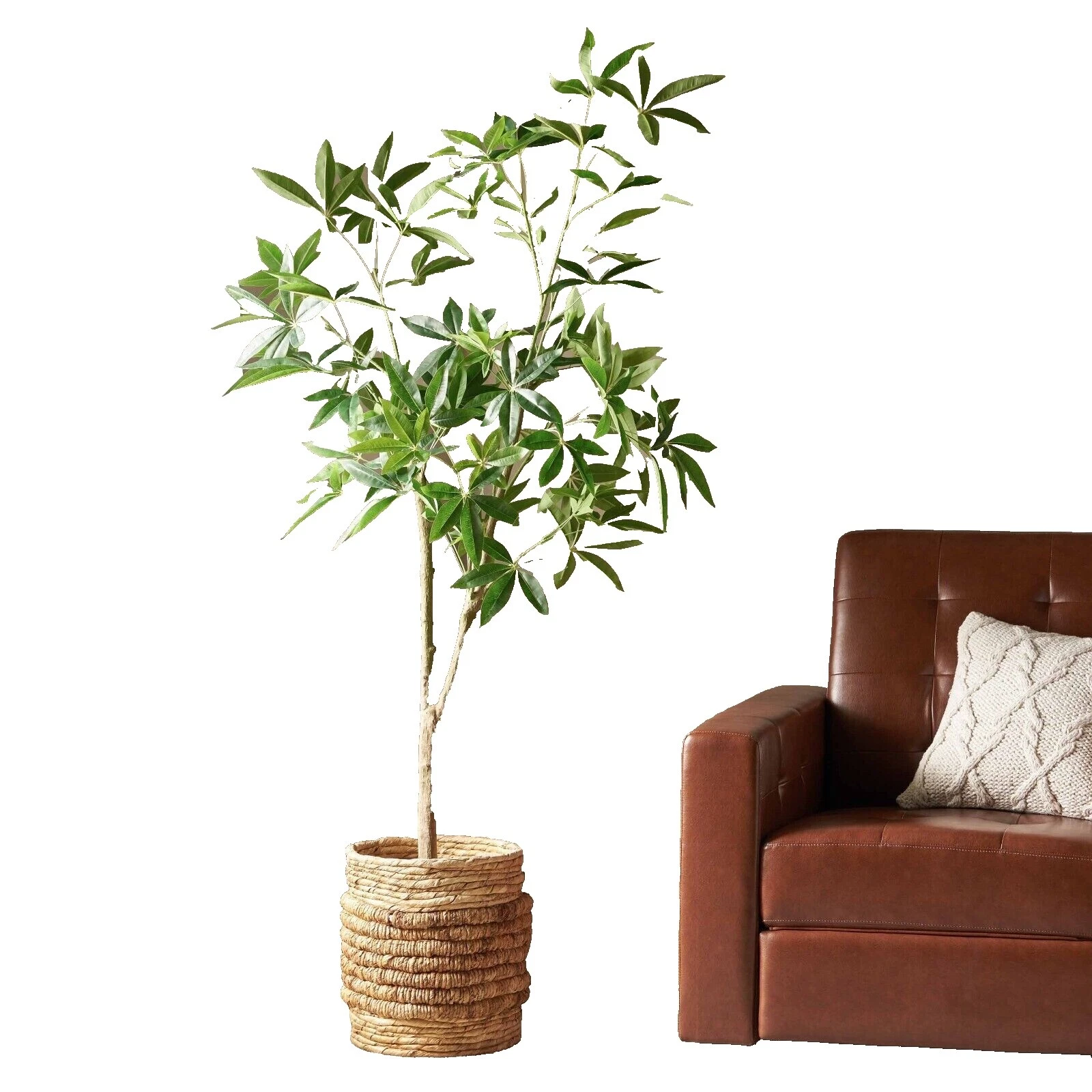 Ivy 100% Silk Houseplant Floral Décor